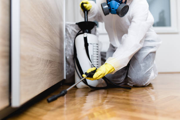 Best Pest Removal Services  in Battle Creek, NE