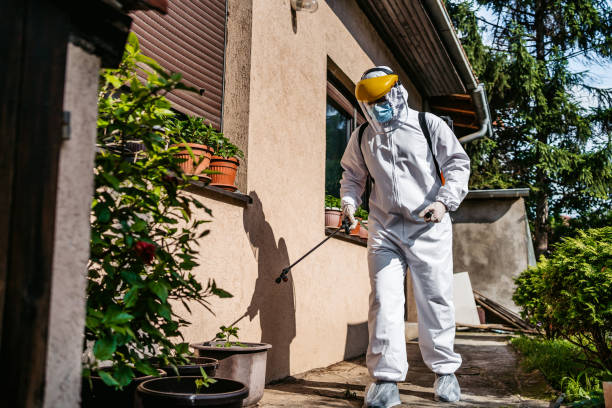 Best Flea Control Services  in Battle Creek, NE