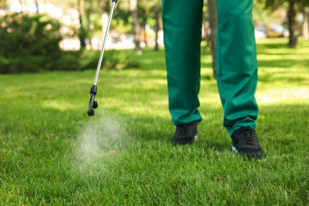 Best Pest Control for Restaurants  in Battle Creek, NE