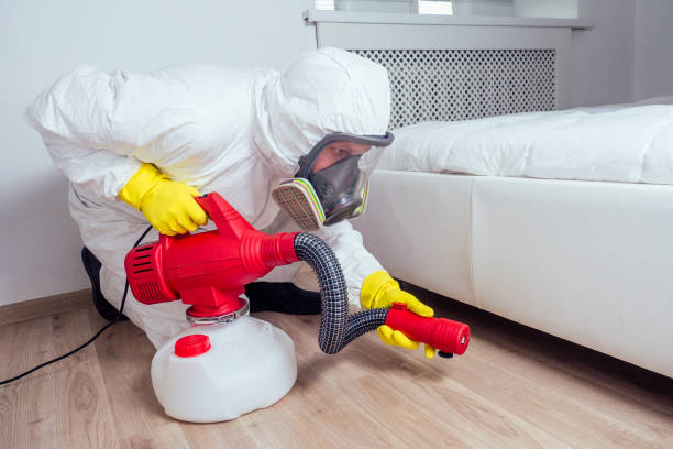 Best Mosquito Control Services  in Battle Creek, NE