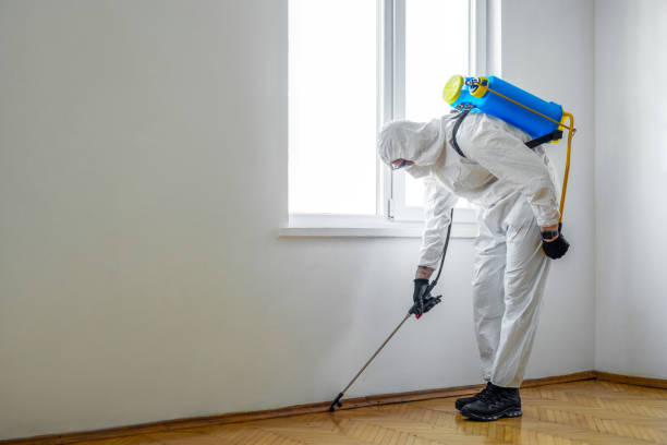 Best Best Pest Control Companies  in Battle Creek, NE
