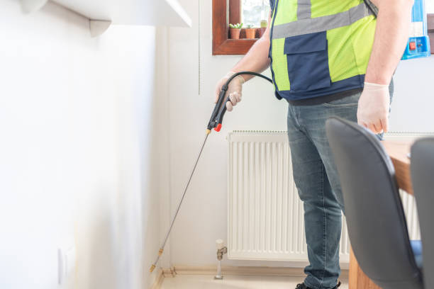 Best Termite Control Services  in Battle Creek, NE