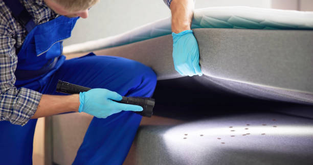 Pest Control for Restaurants in Battle Creek, NE