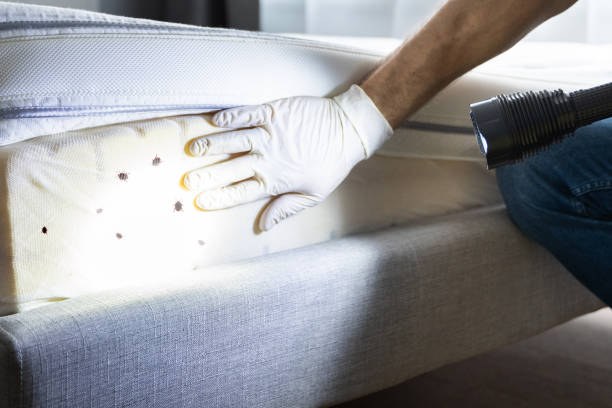 Best Exterminator Services  in Battle Creek, NE
