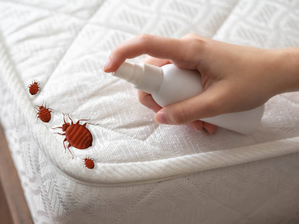 Professional Pest Control in Battle Creek, NE
