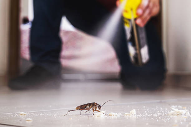 Best Cockroach Control Services  in Battle Creek, NE