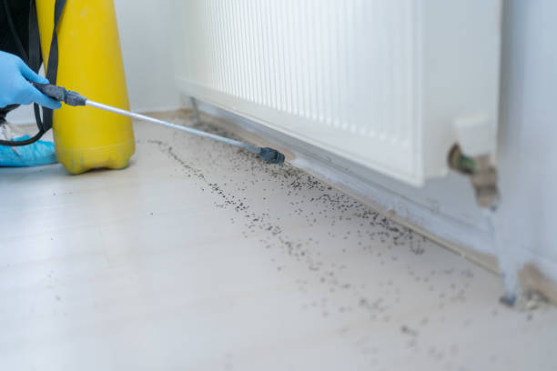 Best Emergency Pest Control  in Battle Creek, NE